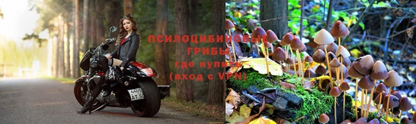 прущий лед Армянск